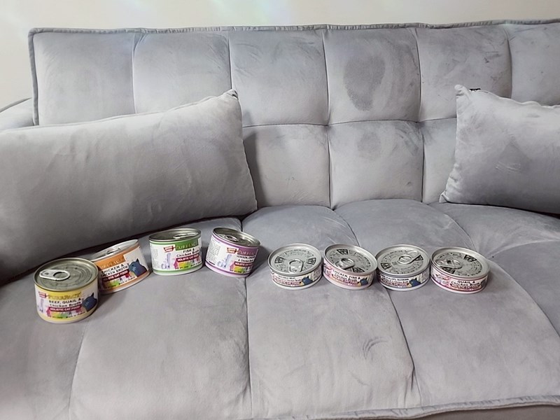 女人知己試用大隊,口碑行銷,部落客行銷,PURRFACT 波菲特貓用主食罐,主食罐,PURRFACT波菲特,貓主食罐,貓罐,PURRFACT波菲特貓用主食罐,魚肉蔓越莓主食罐,鮮嫩雞主食罐,鹿肉雞肉主食罐,牛肉鵪鶉貓主食罐,干貝蠶蛹配方,鱷魚肉白木耳配方,雞肉魚肉配方,安心鶉配方,評價,體驗,適口性佳,心得,成貓適用,高齡貓適用,質地是慕絲狀